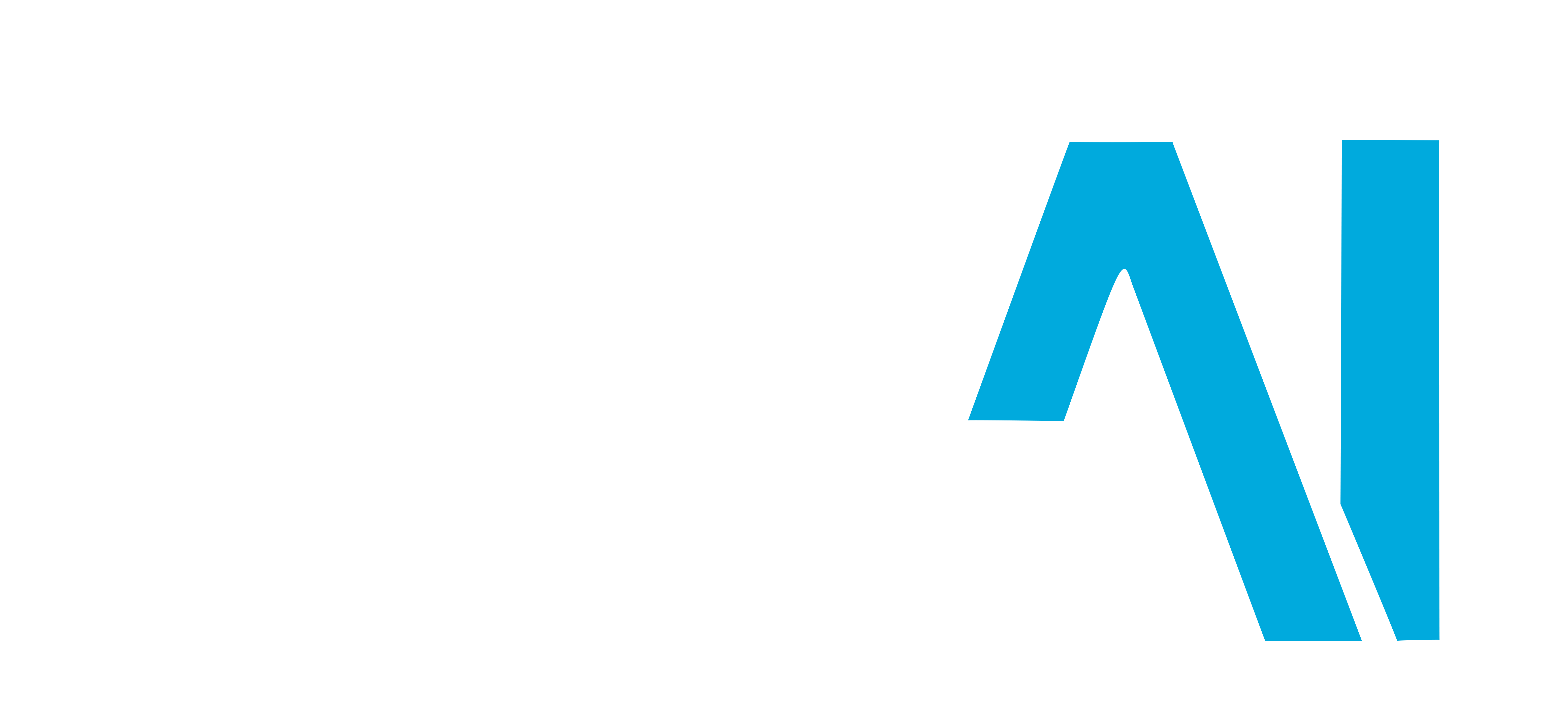 BridgeAI